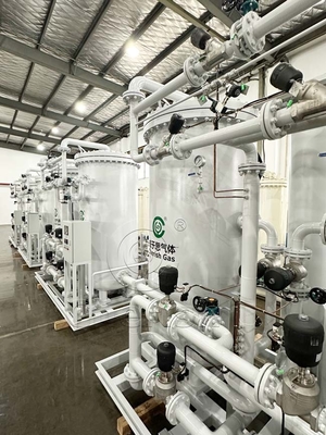 aangepast Intelligent Control System Psa stikstofgenerator