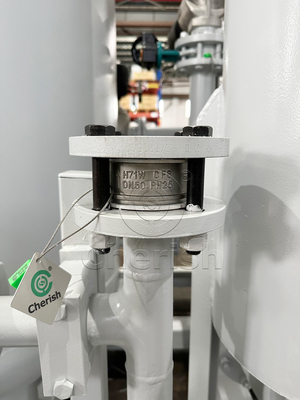 Staaldrukschommelingsaadsorptie PSA stikstofgenerator